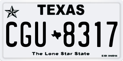 TX license plate CGU8317