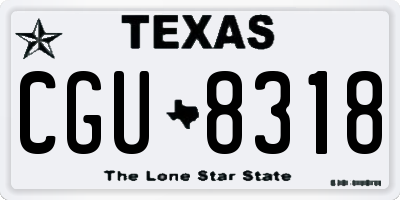 TX license plate CGU8318