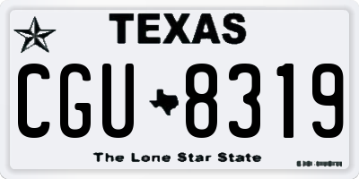 TX license plate CGU8319