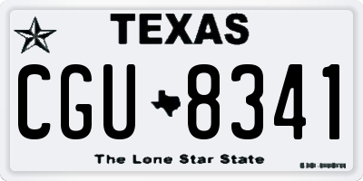 TX license plate CGU8341