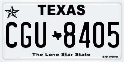 TX license plate CGU8405
