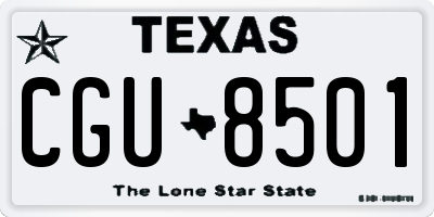 TX license plate CGU8501