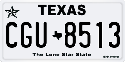 TX license plate CGU8513
