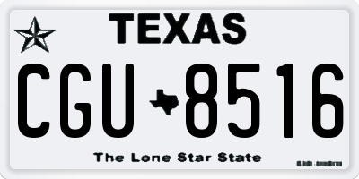 TX license plate CGU8516