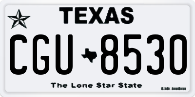 TX license plate CGU8530