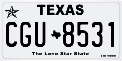 TX license plate CGU8531