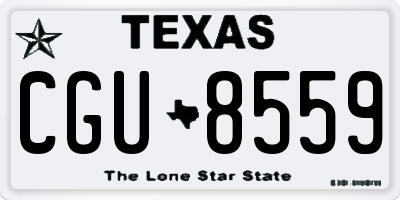 TX license plate CGU8559