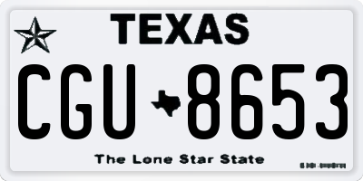 TX license plate CGU8653