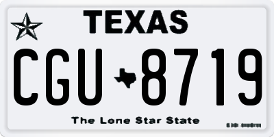TX license plate CGU8719