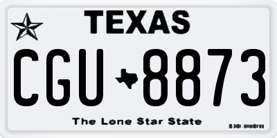 TX license plate CGU8873