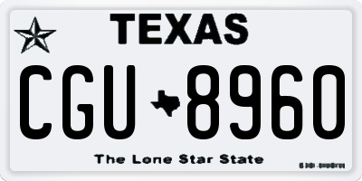 TX license plate CGU8960