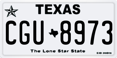 TX license plate CGU8973