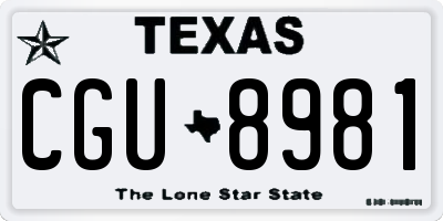 TX license plate CGU8981