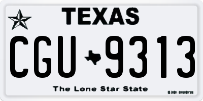 TX license plate CGU9313