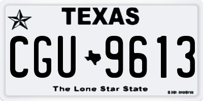 TX license plate CGU9613