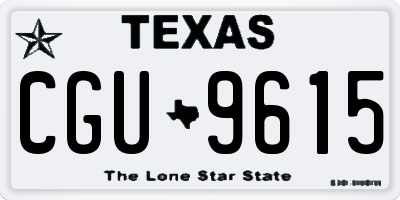 TX license plate CGU9615