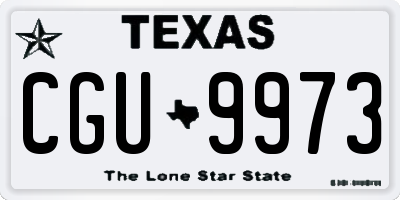 TX license plate CGU9973