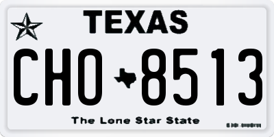 TX license plate CHO8513