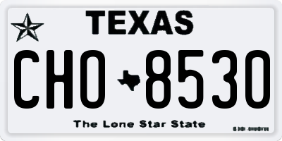 TX license plate CHO8530