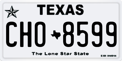 TX license plate CHO8599