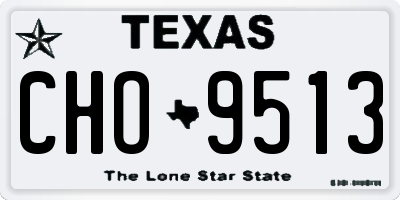 TX license plate CHO9513
