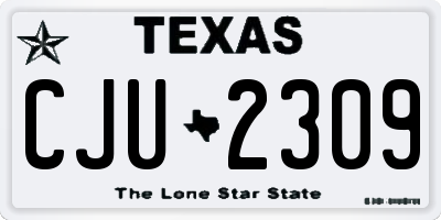 TX license plate CJU2309