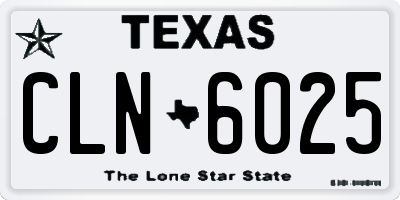 TX license plate CLN6025