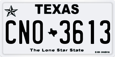 TX license plate CNO3613