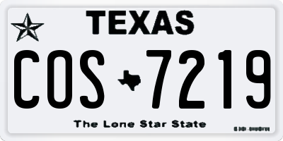 TX license plate COS7219