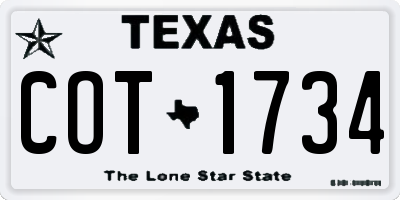 TX license plate COT1734