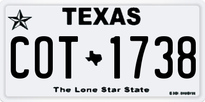 TX license plate COT1738