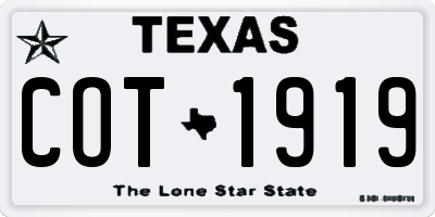 TX license plate COT1919