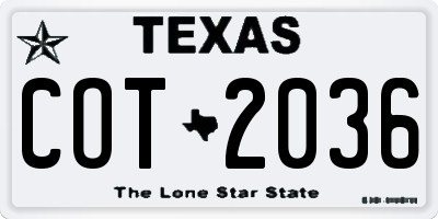 TX license plate COT2036