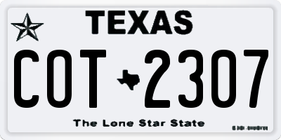 TX license plate COT2307