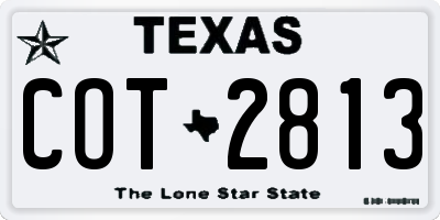 TX license plate COT2813