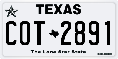 TX license plate COT2891