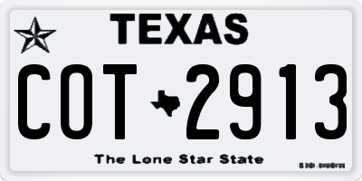 TX license plate COT2913