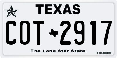 TX license plate COT2917