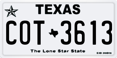 TX license plate COT3613