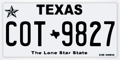 TX license plate COT9827
