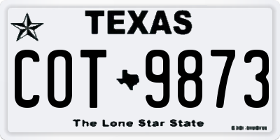 TX license plate COT9873