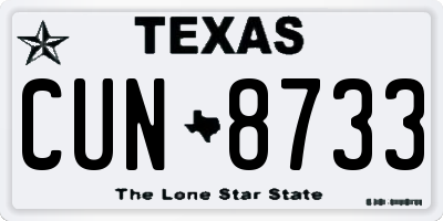TX license plate CUN8733