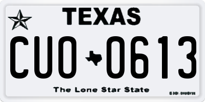 TX license plate CUO0613