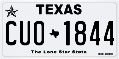 TX license plate CUO1844
