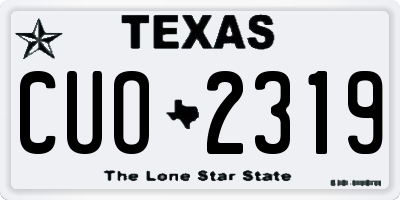 TX license plate CUO2319
