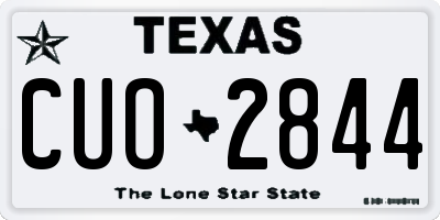 TX license plate CUO2844