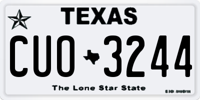 TX license plate CUO3244