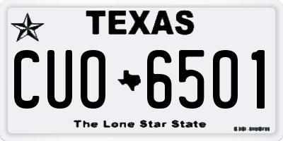 TX license plate CUO6501