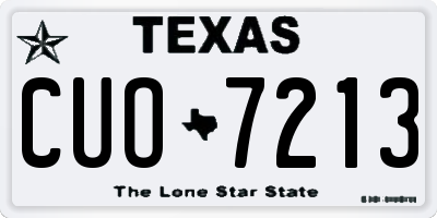 TX license plate CUO7213