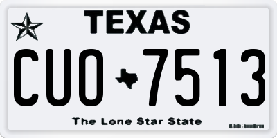 TX license plate CUO7513
